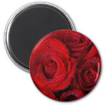 Red Rose Bouquet and Water Drops magnets