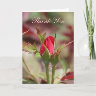 Red Rose Buds Thank You card card