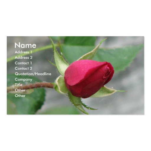 Red Rose Business Card (front side)