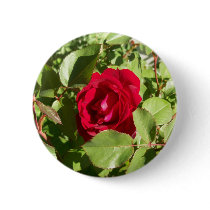 Red Rose Button