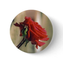 Red Rose buttons by quetzal323 Red Rose buttons