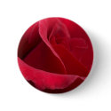 Red Rose Buttons by FunkyCatStudio Red Rose Buttons