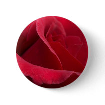Red Rose Buttons by FunkyCatStudio Red Rose Buttons