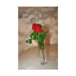 Red rose canvas prints