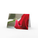 Red Rose Card