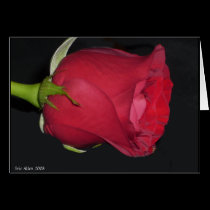 Red Rose Card by Rajee1 Red Rose Card