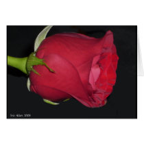 Red Rose Card cards