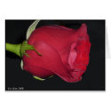 Red Rose Card by Rajee1 Red Rose Card