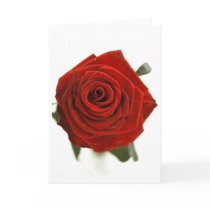 Red Rose cards