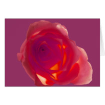 Red Rose cards by roimim Red Rose cards