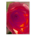 Red Rose cards