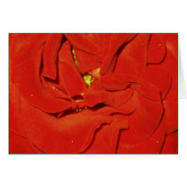 Red Rose cards by ggbythebay Red Rose cards
