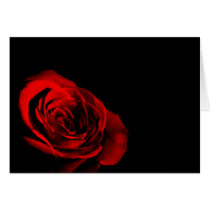 Red Rose cards by TDSwhite Red Rose cards
