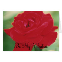 Red Rose Cards