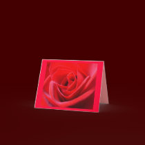 Red Rose Cards Flowers Custom Greeting Card