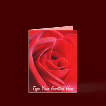 Red Rose Cards Flowers Custom Greeting Card cards