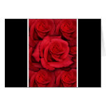 Red rose cards template - customizable