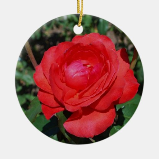 Red Rose Christmas Ornament