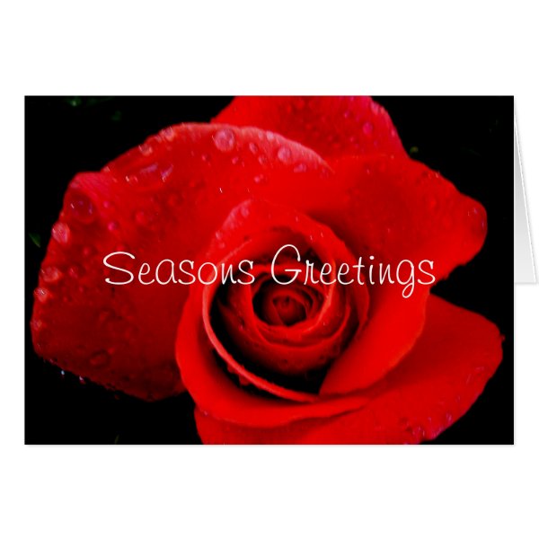 Red Rose Christmas Seasons Greetings Card