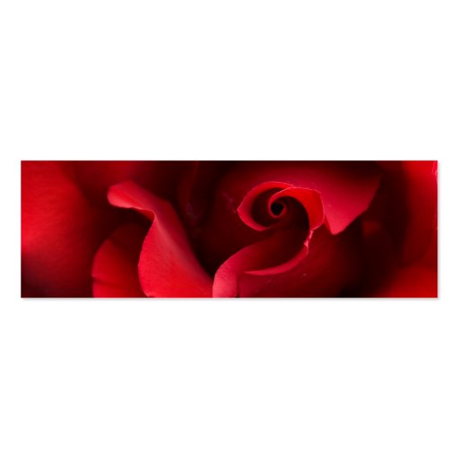 Red Rose Close-up - Customized Business Cards
