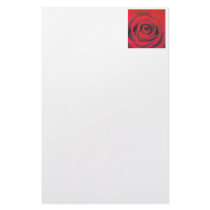 Red rose close up stationery