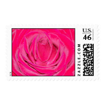 Red Rose Closeup Postage