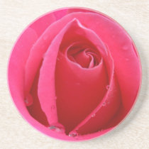 Red Rose Coasters Pink Rose Gifts Keepsake Decor coasters