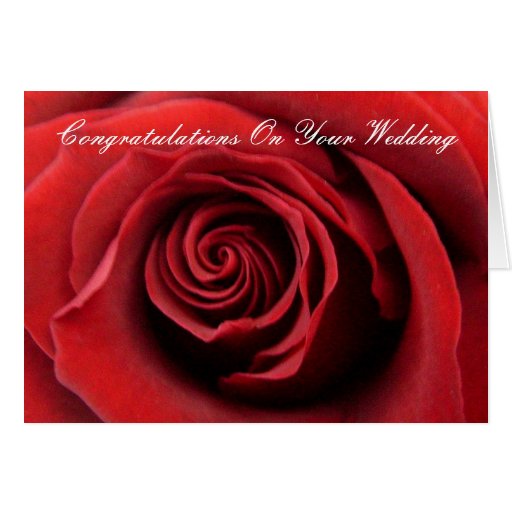 Red Rose Congratulations On Your Wedding Card Zazzle