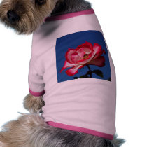 Red Rose pet clothing