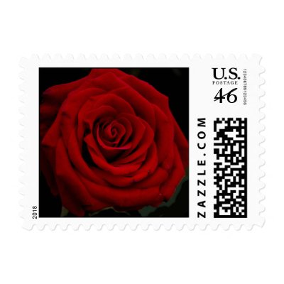 Red Rose Elegance Postage Stamps by SweetRascal