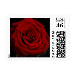 Red Rose Elegance postage