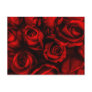 Red Rose Elegance Postcard