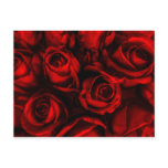 Red Rose Elegance Postcard