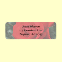 Red Rose Flower Address Label labels