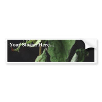Red Rose Flower bumper stickers by lifesphere Red Rose Flower bumper stickers