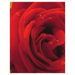red rose flower personalized flyer