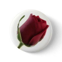 Red Rose Flower on White buttons by LivingNature Red Rose Flower on White buttons