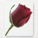 Red Rose Flower on White mousepads