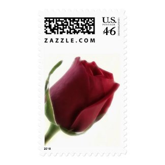 Red Rose Flower on White stamp