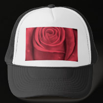 Red Rose Flower Painting - Multi hats