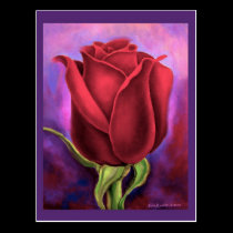Red Rose Flower Painting - Multi postcards