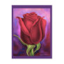Red Rose Flower Painting - Multi Post Cards