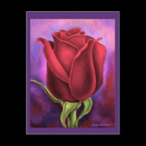 Red Rose Flower Painting - Multi postcards