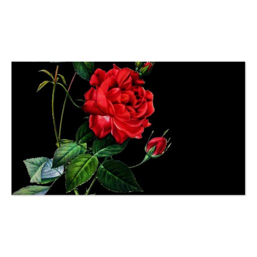 Red Rose flower, Pierre Joseph Redouté Business Cards (back side)