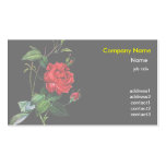 Red Rose flower, Pierre Joseph Redouté Business Cards