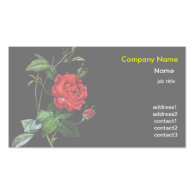 Red Rose flower, Pierre Joseph Redouté Business Cards
