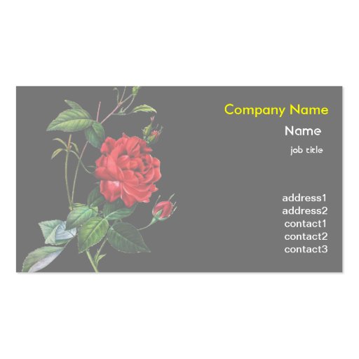 Red Rose flower, Pierre Joseph Redouté Business Cards (front side)
