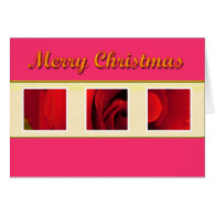 Red rose flowers pink Christmas card.