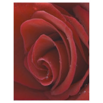Red Rose Flyer