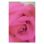 Red Rose Flyer